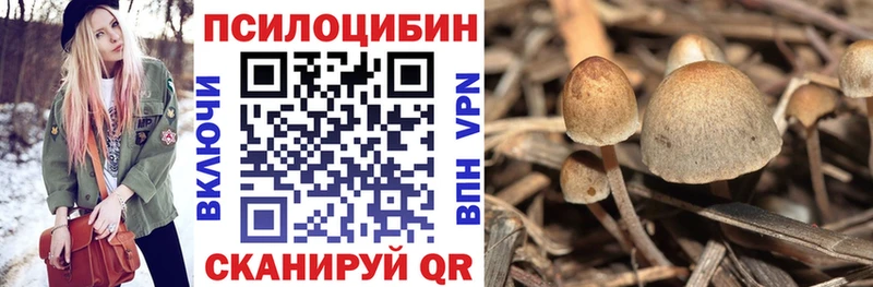 Галлюциногенные грибы мухоморы Пенза